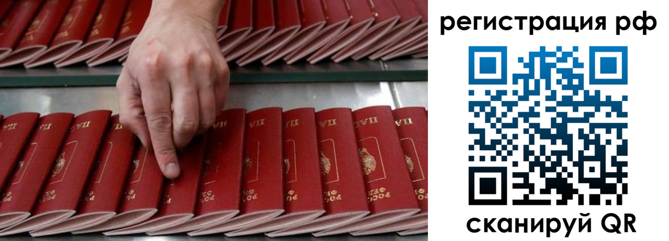 временная регистрация поиск в Новокузнецке
